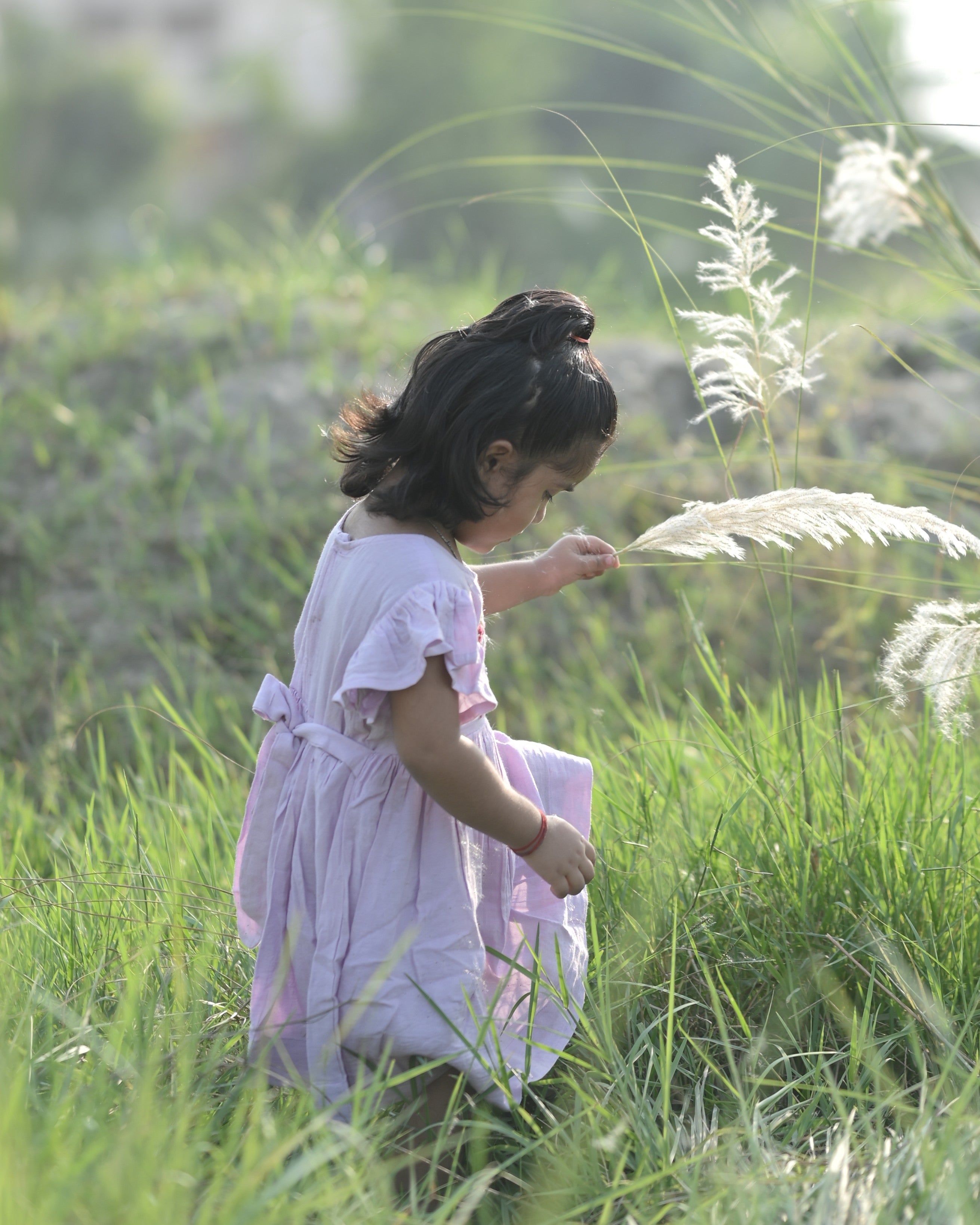 Three Butterfly Dress