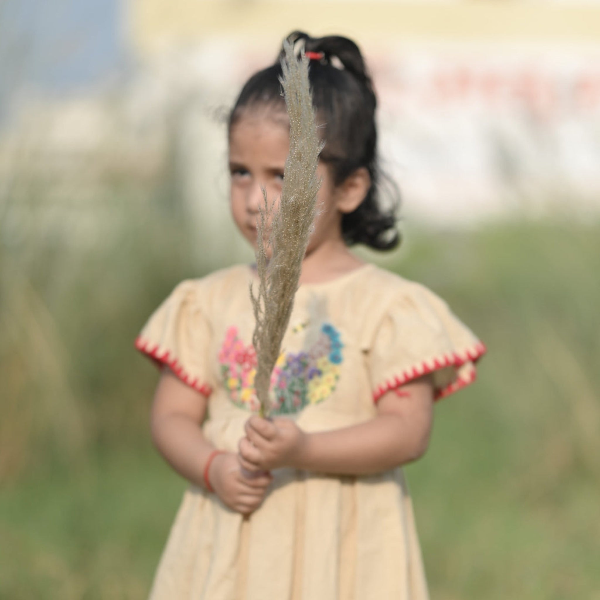 Guldasta Cotton Linen Hand Embroidered Dress