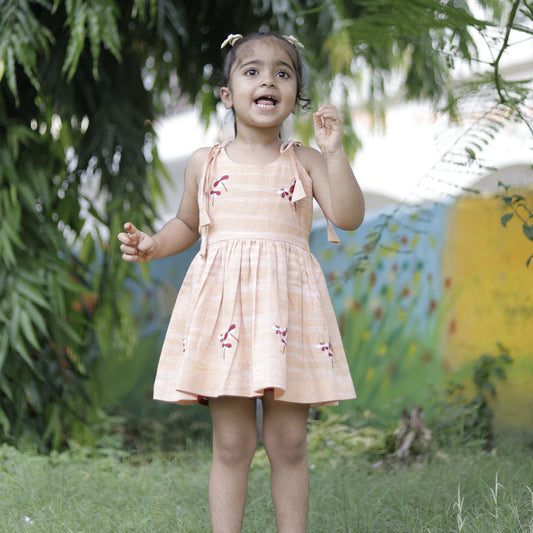 Dragonfly Days Hand Embroidered Khadi Dress